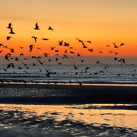 Apartment Location Front De Plein Soleil