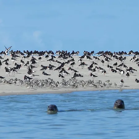 Apartment Location Front De Plein Soleil Le Crotoy