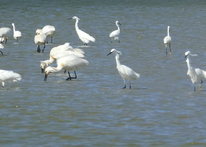 Apartment Location Front De Plein Soleil