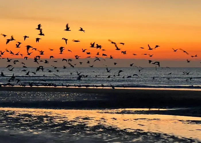 Apartment Location Front De Plein Soleil